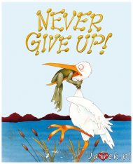 Never Give UP! damska