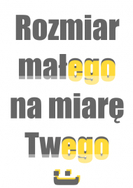 Koszulka 'Rozmiar małego na miarę Twego' Biała.