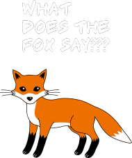 What does the fox say?? bluza z kapturem