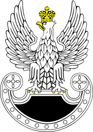 Koszulka Wojsk Specjalnych