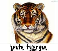 Jestę Tygrysę