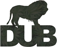 DUB BMX Leafs T-Shirt