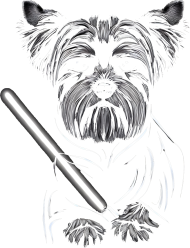 Pies York Mistrz Jedi Star Wars