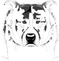 Koszulka Pit Bull Nie Gryzę