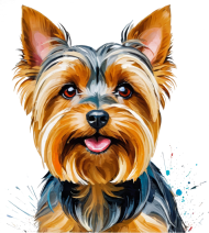 York Terrier Koszulka z Nadrukiem Abstrakcja