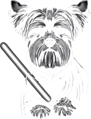 Pies York Mistrz Jedi Star Wars