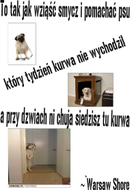 koszulka warsaw shore