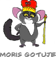 Koszulka Moris Gotuje FASHION MĘSKA wersja 1