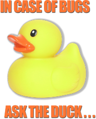 The Duck In Case Of Girl