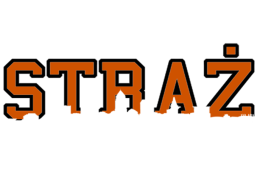 Bluza Bractwo Bohaterów