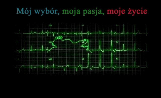 Koszulka Moto 033 Męska