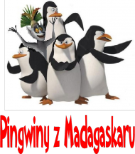Pingwiny!