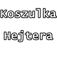 Koszulka hejtera