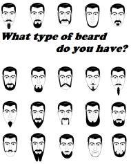Beard Types Tshirt 20