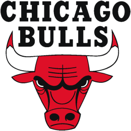 chicago bulls ekobag