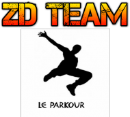 zd team