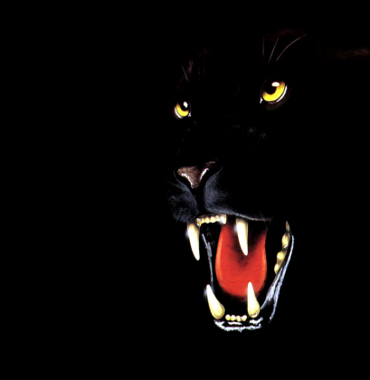 Pantera