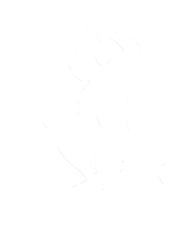 Koszulka męska CHAMPIONS NEVER ACCEPT DEFEAT niebieska
