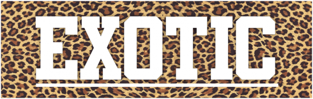 EXOTIC