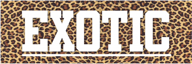 EXOTIC