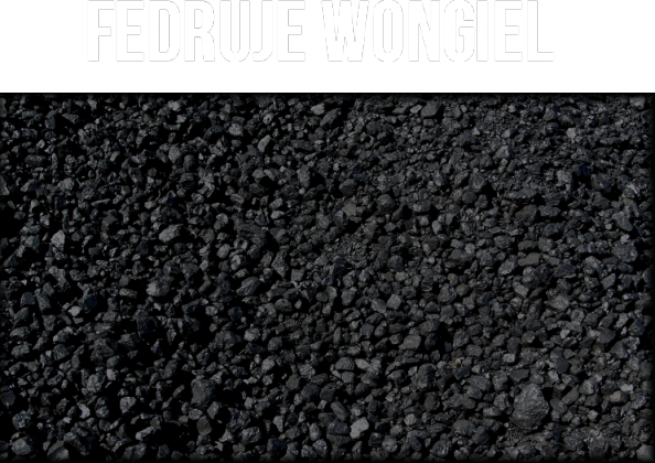 Fedruje wongiel!