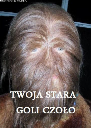 TwojaStara!