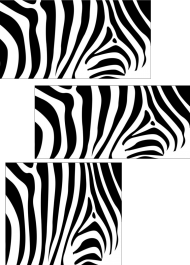zebra styl