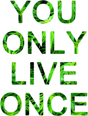 YOLO - nadruk