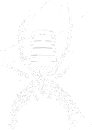 Musical Spider