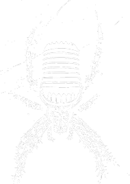 Musical Spider