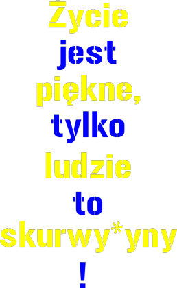 Bluza Życie jest piękne...