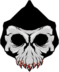 Koszulka męska skull czaszka