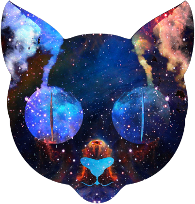 Koszulka damska kot wszechświat universe kosmos cat