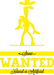 Koszulka męska - SNOW WANTED (różne kolory!)