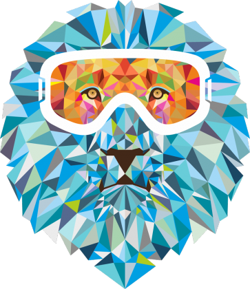 Bluza męska z kapturem - SNOW LION (różne kolory)