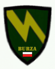 Biały | logo BURZA