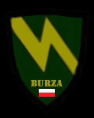 Czarny | logo BURZA