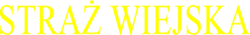 KOSZULKA SFF STRAŻ WIEJSKA