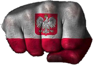 Polska siła