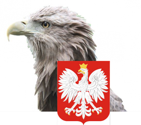 Polska - orzeł