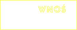 Kreatywność wnoś - męska bluza