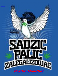 Sadzic Palic Zalegalizowac