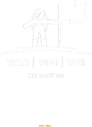 Veni Vidi Vici - czy jakoś tak - koszulki nietypowe - chcetomiec.cupsell.pl