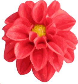 Koszulka "Flower"