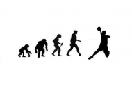 Ewolucja biała polo