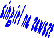 Koszulka: Singiel na zawsze;D