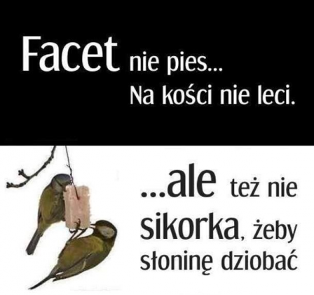Facet nie pies na kości nie leci...