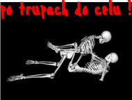 Po trupach do celu