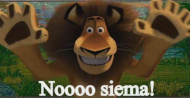Siema