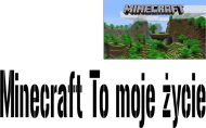 Koszulka dziecięca - Minecraft